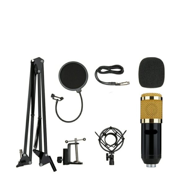 Professional Condenser Microphone with V8S Sound Card - Image 3