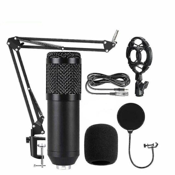 Professional Condenser Microphone with F11 Sound Card - Image 3